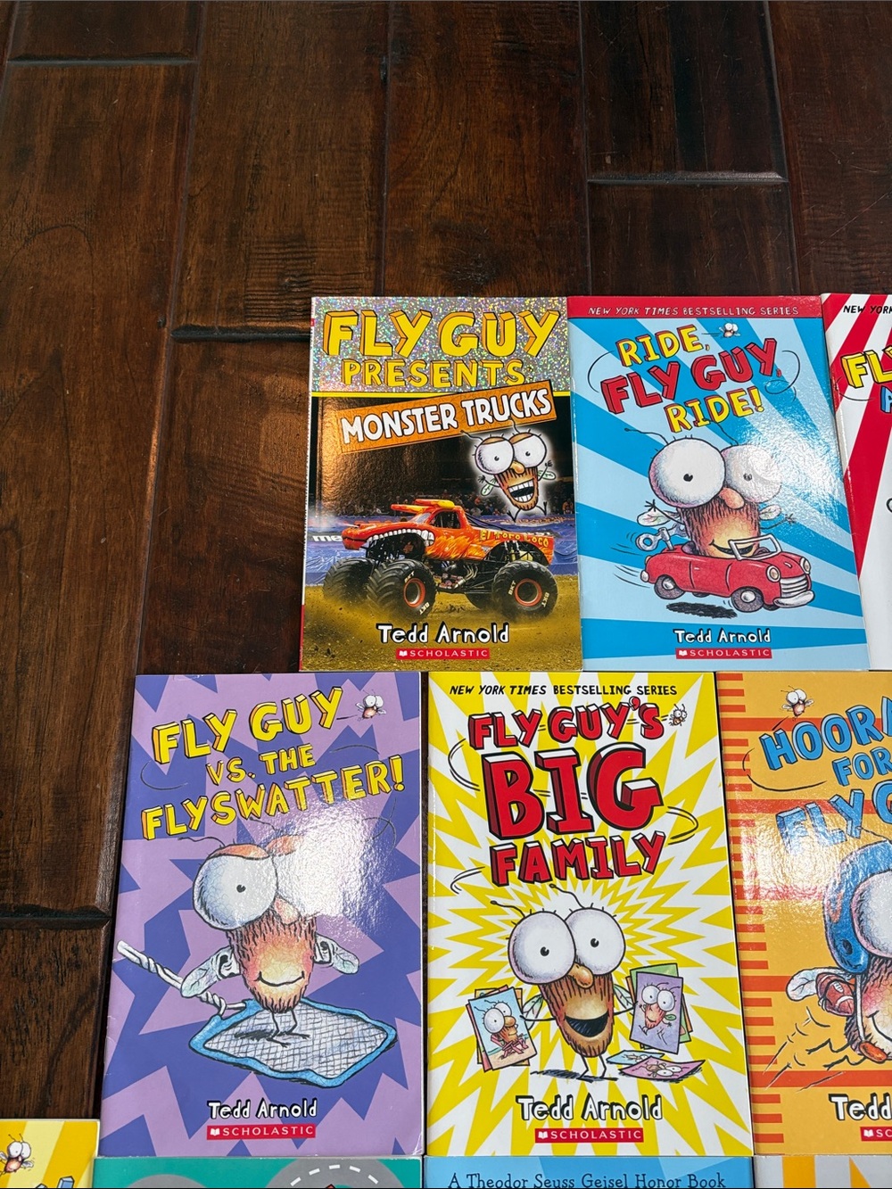 Fly Guy Lot of 17 Picture Books Ted's Arnold Early Readers Fun Silly - Picture 2 of 5